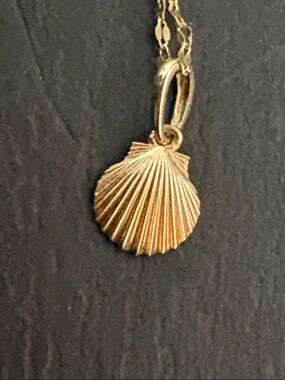 14k Gold Shell Pendant Necklace - Women Jewelry